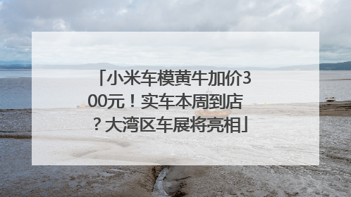 小米车模黄牛加价300元！实车本周到店？大湾区车展将亮相