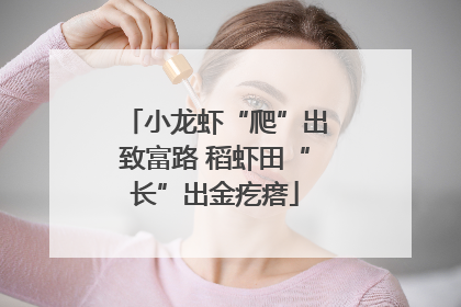 小龙虾“爬”出致富路 稻虾田“长”出金疙瘩