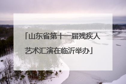 山东省第十一届残疾人艺术汇演在临沂举办
