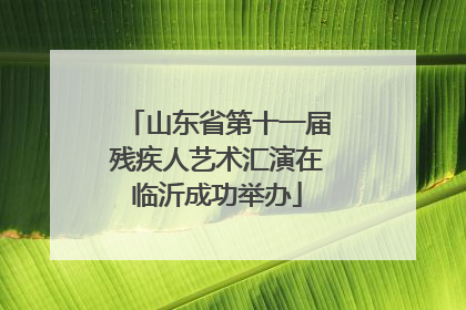 山东省第十一届残疾人艺术汇演在临沂成功举办
