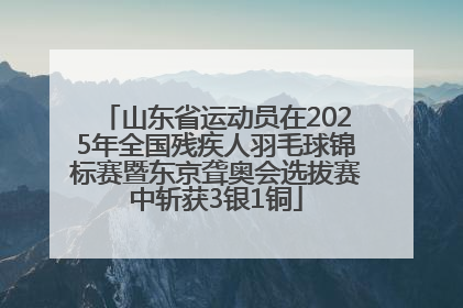 山东省运动员在2025年全国残疾人羽毛球锦标赛暨东京聋奥会选拔赛中斩获3银1铜