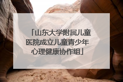 山东大学附属儿童医院成立儿童青少年心理健康协作组