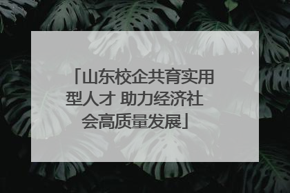 山东校企共育实用型人才 助力经济社会高质量发展