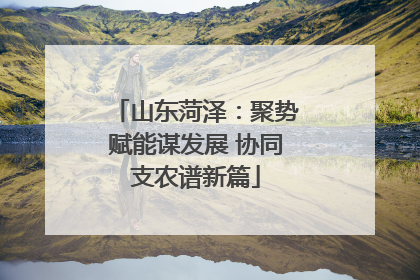 山东菏泽：聚势赋能谋发展 协同支农谱新篇