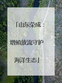 山东荣成：增殖放流守护海洋生态