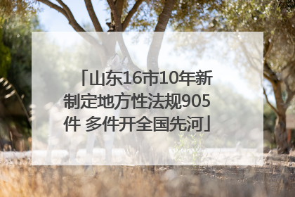山东16市10年新制定地方性法规905件 多件开全国先河