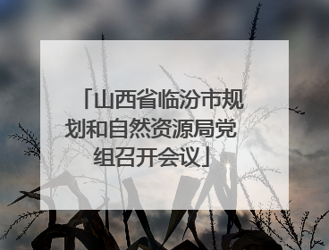 山西省临汾市规划和自然资源局党组召开会议