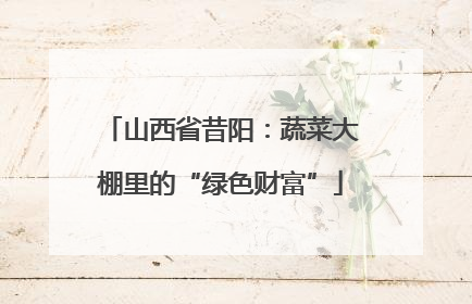 山西省昔阳：蔬菜大棚里的“绿色财富”