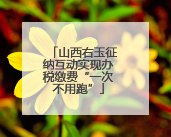 山西右玉征纳互动实现办税缴费“一次不用跑”