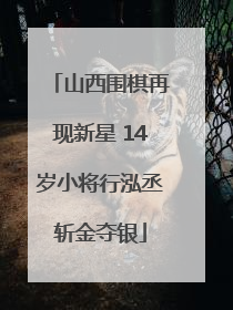 山西围棋再现新星 14岁小将行泓丞斩金夺银