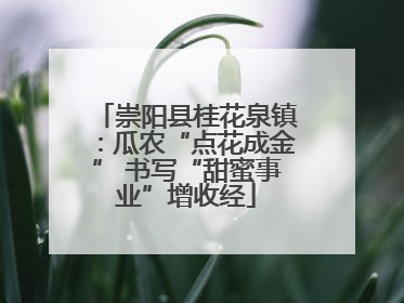 崇阳县桂花泉镇：瓜农“点花成金” 书写“甜蜜事业”增收经