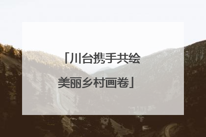 川台携手共绘美丽乡村画卷