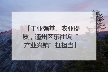 工业强基、农业提质，通州区东社镇“产业兴镇”扛担当