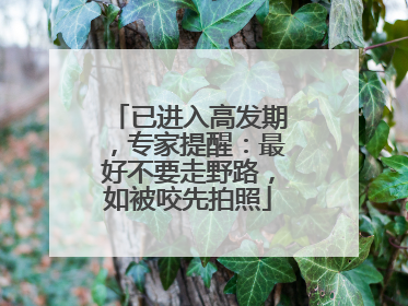 已进入高发期，专家提醒：最好不要走野路，如被咬先拍照
