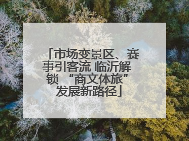 市场变景区、赛事引客流 临沂解锁 “商文体旅” 发展新路径