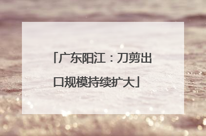 广东阳江：刀剪出口规模持续扩大