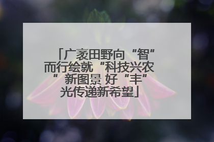 广袤田野向“智”而行绘就“科技兴农”新图景 好“丰”光传递新希望