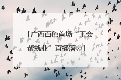 广西百色首场“工会帮就业”直播落幕