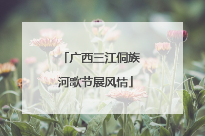 广西三江侗族河歌节展风情