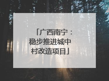 广西南宁：稳步推进城中村改造项目