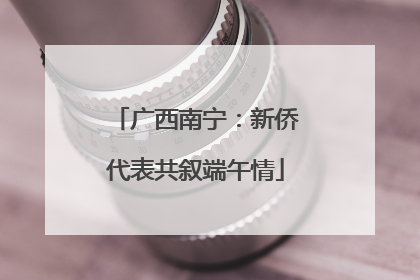 广西南宁：新侨代表共叙端午情