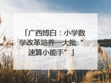 广西博白：小学数学改革培养一大批“速算小能手”