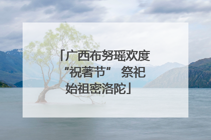 广西布努瑶欢度“祝著节” 祭祀始祖密洛陀