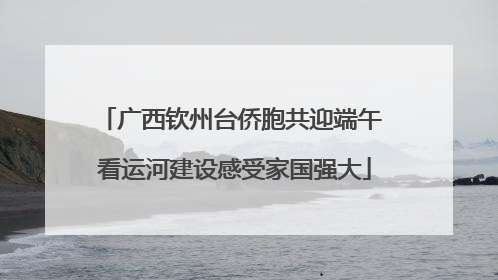 广西钦州台侨胞共迎端午 看运河建设感受家国强大