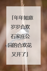 年年如意 岁岁合欢 石家庄公园的合欢花又开了