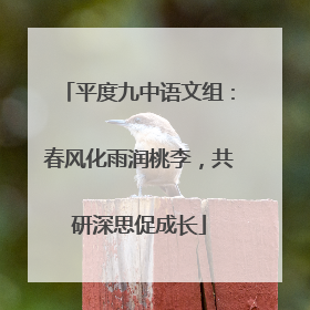 平度九中语文组：春风化雨润桃李，共研深思促成长