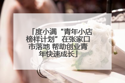 度小满“青年小店榜样计划”在张家口市落地 帮助创业青年快速成长