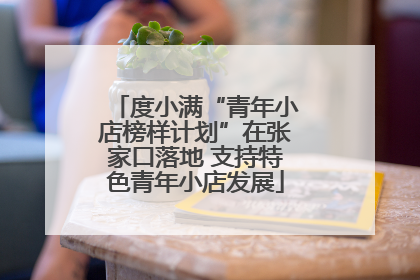 度小满“青年小店榜样计划”在张家口落地 支持特色青年小店发展