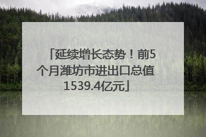 延续增长态势！前5个月潍坊市进出口总值1539.4亿元