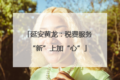 延安黄龙：税费服务“新”上加“心”