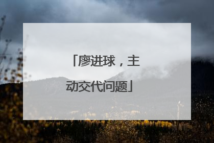 廖进球，主动交代问题