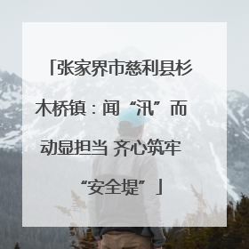 张家界市慈利县杉木桥镇：闻“汛”而动显担当 齐心筑牢“安全堤”