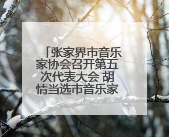 张家界市音乐家协会召开第五次代表大会 胡情当选市音乐家协会主席