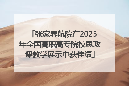 张家界航院在2025年全国高职高专院校思政课教学展示中获佳绩