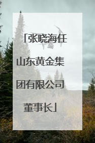 张晓海任山东黄金集团有限公司董事长