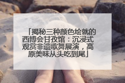 揭秘三种颜色绘就的西博会甘孜馆：沉浸式观赏非遗歌舞展演，高原美味从头吃到尾