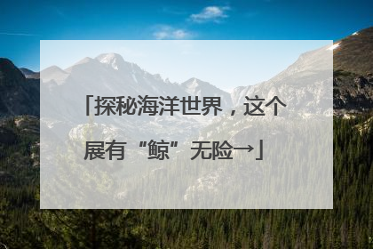 探秘海洋世界，这个展有“鲸”无险→