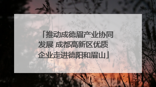 推动成德眉产业协同发展 成都高新区优质企业走进德阳和眉山