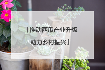 推动西瓜产业升级 助力乡村振兴