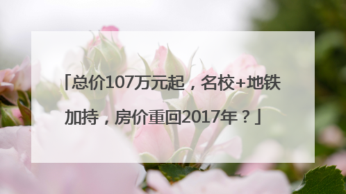 总价107万元起，名校+地铁加持，房价重回2017年？