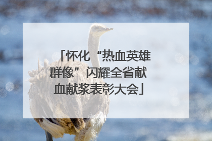怀化“热血英雄群像”闪耀全省献血献浆表彰大会