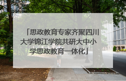 思政教育专家齐聚四川大学锦江学院共研大中小学思政教育一体化