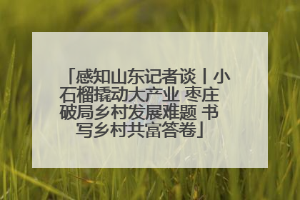 感知山东记者谈丨小石榴撬动大产业 枣庄破局乡村发展难题 书写乡村共富答卷