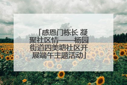 感恩门栋长 凝聚社区情——杨园街道四美塘社区开展端午主题活动