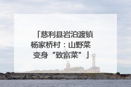 慈利县岩泊渡镇杨家桥村：山野菜变身“致富菜”