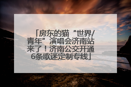 房东的猫“世界/青年”演唱会济南站来了！济南公交开通6条歌迷定制专线
